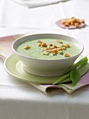 Cream of wild garlic soup with croutons