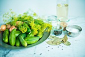 Pickling cucumbers with dill, vinegar and spices