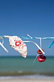 Flotsam hung from line on Prerow bean (Baltic Sea, Germany)
