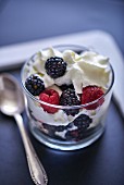 Berry dessert with whipped cream