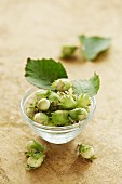 Hazelnuts with leaves in a glass bowl