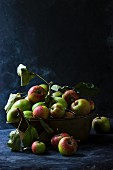 an arrangement of freshly picked country apples in a brass chute against a black background