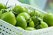 Green tomatoes in a white plastic basket