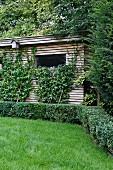 Niedrige Hecke vor verstecktem Gartenhäuschen mit Holzlamellen-Fassade