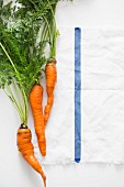 Fresh carrots on a white tablecloth (seen from above)