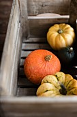 Various pumpkins in a wooden crate
