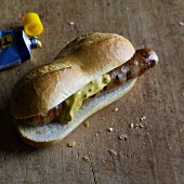 Homemade Munderland sausage with mustard in a roll