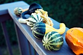 Various types of squash on a balcony ledge