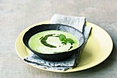 Green pea soup with white wine and mint