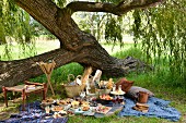 A winter picnic under a tree in South Africa