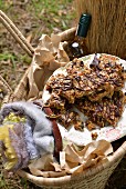 Muesli bars with chocolate for a winter picnic (South Africa)