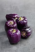 Five purple peppers on a grey stone surface
