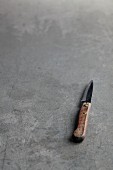 An old kitchen knife with a wooden handle on a grey surface