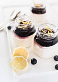 Panna cotta with blueberry coulis and lemon zest