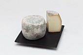 Cheese, Culinary specialties of Corsica Domaine Mavela, Aléria, Corsica Island, France, Europe