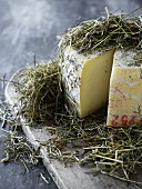 Pasture-grazed cheese
