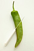 A green Anaheim pepper with a knife