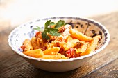 Penne with tomato sauce and Parmesan