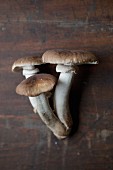 A close-up of mushrooms on a wooden table