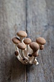 A close-up of brown shimeji mushrooms on a wooden table