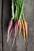 Fresh garden carrots on a wooden table