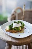 Country bread topped with avocado and poached egg at TTCCH (Till the cows come home), Berlin