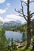 Estany Llong lake in Aigüestortes national park in the Pyrenees, Catalonia, Spain