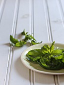 Fresh basil leaves