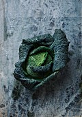 Savoy cabbage on a rough grey surface