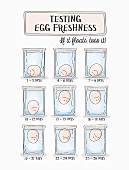An illustration of an egg freshness test