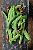 Beans on a wooden board in a garden