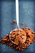 Close-up of a teaspoon of cocoa powder