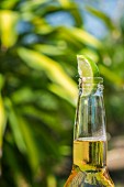 A lime wedge in the neck of a bottle of beer