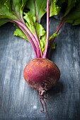 A beetroot with leaves on a grey wooden surface