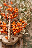 A sprig of sea buckthorn berries on a wooden surface