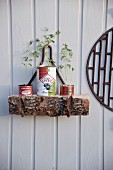 Old cans upcycled as plant pots for seedlings
