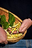 Bauer hält Korb mit frisch geernteten gelben Bohnen