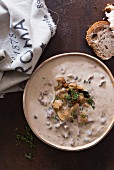 Mushroom soup with fresh thyme (seen from above)