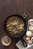 Pilzsauce und frische Champignons