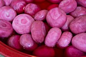 Pickled radish coloured pink with shiso leaves (Japan)