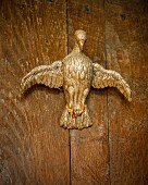 Carved gilt bird on oak background