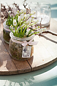 White grape hyacinths planted amongst moss in preserving jar