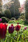 Buntes Tulpenbeet in einer großen Gartenanlage