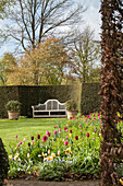 Bed of colourful tulips and white bench in expansive gardens