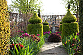 Gartenkunst umgeben von Tulpen und Hainbuchenhecke