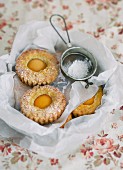 Mini apricot cakes with icing sugar