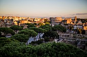 A view over Rome with the Colosseum