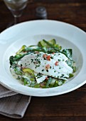 Plaice fillet on a bed of green vegetables