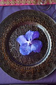 Violette Orchideenblüte auf verziertem, indischem Platzteller