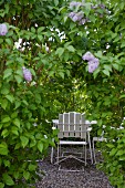 White chairs in secluded seating area in garden seen through lilac bush
